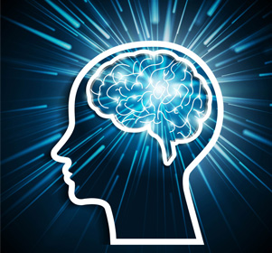 Brain Mapping Brain Mapping