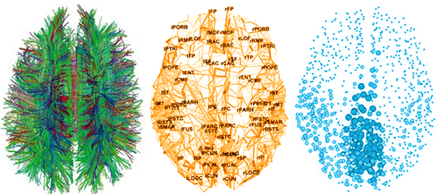 Brain Mapping Brain Mapping
